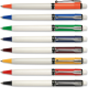 Picture of RAJA COLOUR ®
