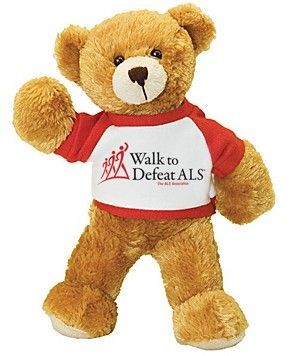 Picture of SOFT TOY BEAR with Tee Shirt.