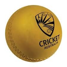 Picture of CRICKET BALL.