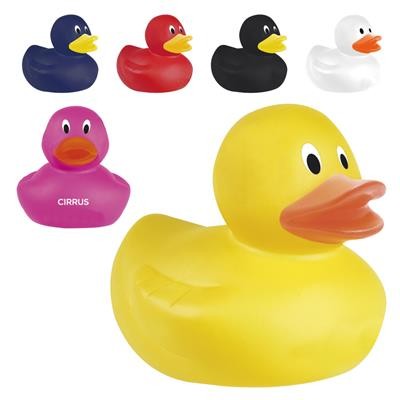 Picture of PLASTIC DUCK.