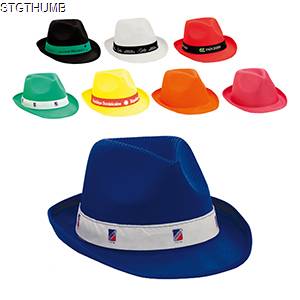Picture of TRILBY HAT.