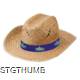 Picture of BULL HAT