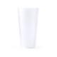 GASTON PP CUP image 2