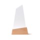 NAVIS GLASS TROPHY image 2