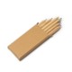 AMAZONIA PENCIL SET image 2