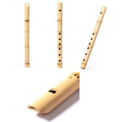 Picture of RECORDER HAMELIN