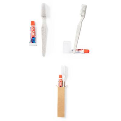 Picture of TOOTHBRUSH DENTAL KIT