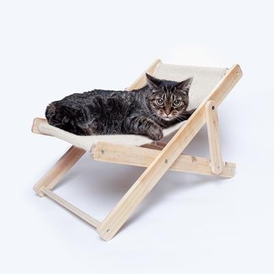 Picture of PETS CHAIR DINY