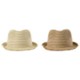 Picture of HAT HARMON