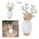 Picture of CHRISTMAS DECORATION GUARDENS