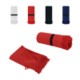 Picture of TOWEL BRISLY