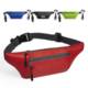 Picture of WAISTBAG MENDEL