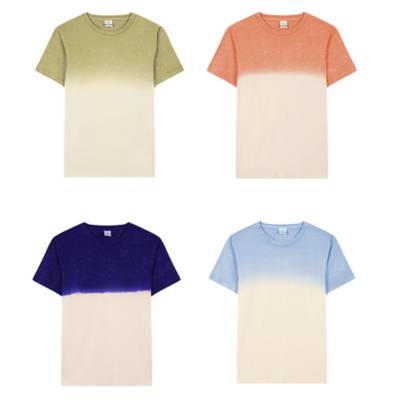 Picture of ADULT COLOR T-SHIRT NIMO.