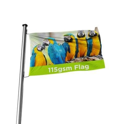 Picture of RECYCLED FLAG.