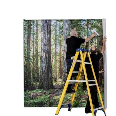 Picture of WALLPAPER - A0