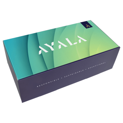 Picture of CORRUGATED DIGITAL MAXI - FRONT FOLDING