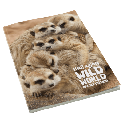 Picture of SMARTBOOK A4