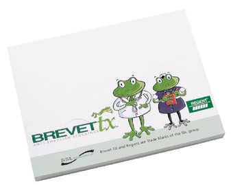 Picture of STICKY NOTE PAD
