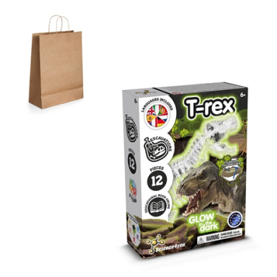 Picture of FOSSIL EXCAVATION KIT III