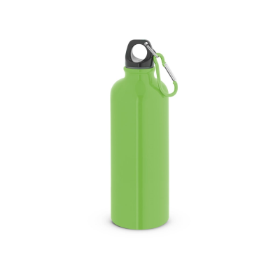 KELCE SINGLE-WALL STAINLESS STEEL METAL BOTTLE with Carabiner Clip 550 Ml in Pale Green
