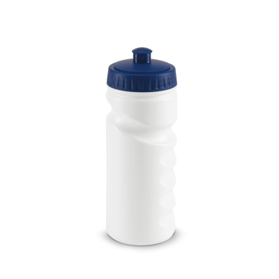 Picture of LOWRY 530 ML HDPE SPORTS BOTTLE in Blue
