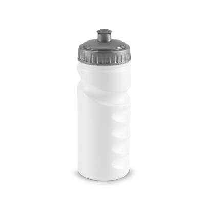 Picture of LOWRY 530 ML HDPE SPORTS BOTTLE in Satin Silver
