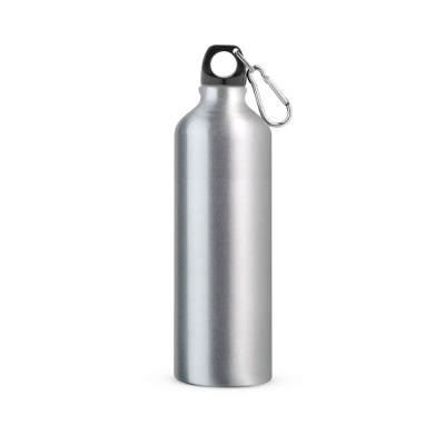 Picture of LANDSCAPE L ALUMINIUM METAL SPORTS BOTTLE with Carabiner 800 Ml in Satin Silver