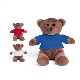 Picture of TEDDY BEAR SOFT TOY