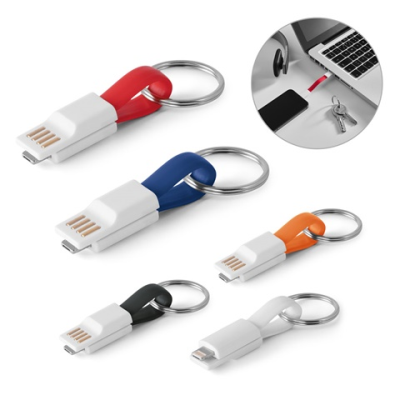 Picture of RIEMANN USB CABLE with 2 in 1 Connector