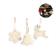 Picture of FLAKE CHRISTMAS ORNAMENT SET