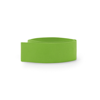 Picture of BORTUNE 100% POLYESTER HATBAND in Pale Green