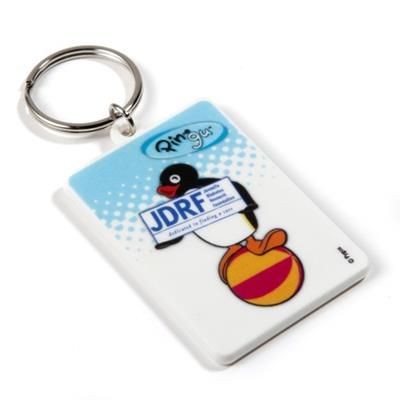 Picture of RECYCLED 55mm Rectangular Keyring.