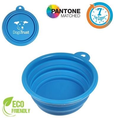 Picture of EXPRESS DOG BOWL