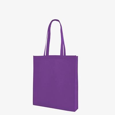 Picture of CHOROA NON WOVEN 80 GSM PP SHOPPER TOTE BAG with Long Handles & Full Gusset