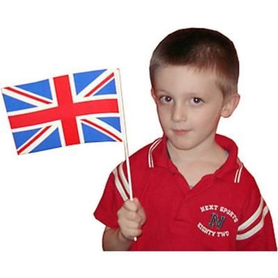 Picture of STANDARD PAPER ADFLAG