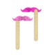 Picture of VAUDEVILLE MOUSTACHE with Offset Print