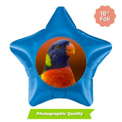 Picture of PRINTED 18 INCH STAR FOIL BALLOON