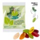 FRUIT GUM CUSTOMISED 20 G, VEGAN in a Compostable Bag image 2