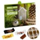 Picture of PREMIUM GIFT ADVENT CALENDAR ECO BUSINESS