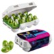 Picture of PAPER EASTER EGG BOX OF 12 with Ferrero Küsschen Mini Eggs