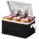 Picture of SPECTRUM 6-CAN COOL BAG 4L