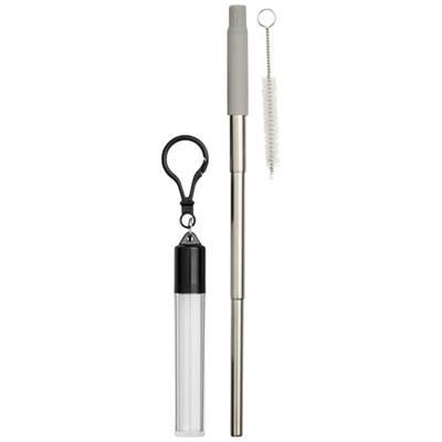Picture of ZEYA REUSABLE STAINLESS STEEL METAL STRAW KEYRING CHAIN in Grey