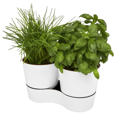 Picture of HERBS DOUBLE KITCHEN POT