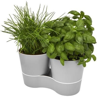 Picture of HERBS DOUBLE KITCHEN POT