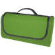 Picture of SALVIE RECYCLED PLASTIC PICNIC BLANKET