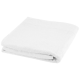 Picture of EVELYN 450 G & M² COTTON TOWEL 100X180 CM