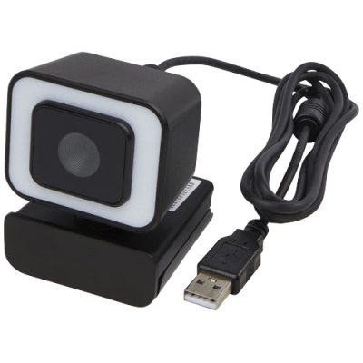 Picture of HYBRID WEBCAM