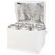 Picture of SPECTRUM 6-CAN RECYCLED NON-WOVEN COOL BAG 4L