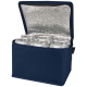 Picture of SPECTRUM 6-CAN RECYCLED NON-WOVEN COOL BAG 4L