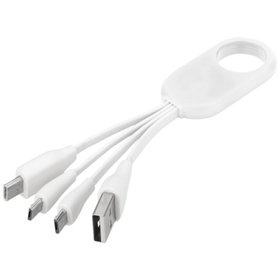 Picture of TROUP 4-IN-1 CHARGER CABLE with Type-C Tip in White.